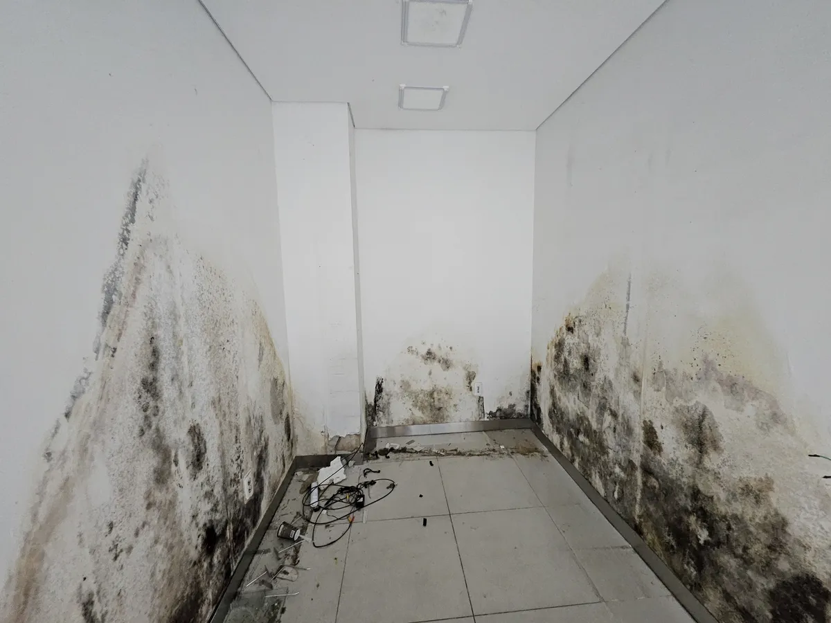 기존 진열장 철거